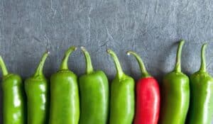 One chili is red in a line of green chilis