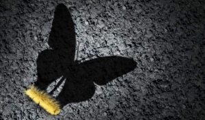 a caterpillar with a shadow in the shape of a butterfly on an asphalt background